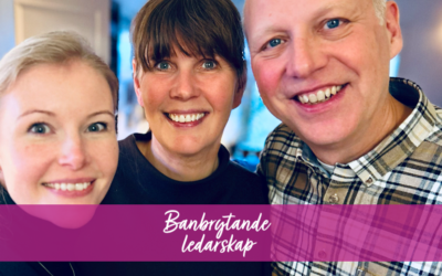 22 – Din ledarskapsidé – från intention till verkstad